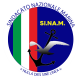 SINAM Logo