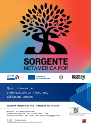 Logo di Sorgente Metamerica Pop
